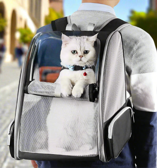 Innovative Traveler Bubble Backpack