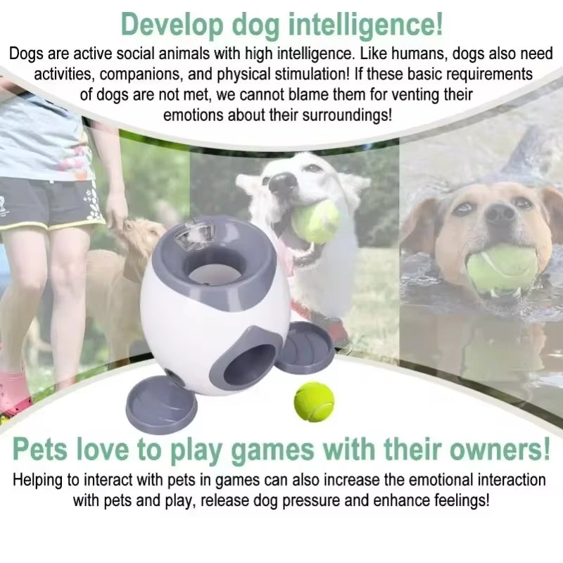 Automatic Ball Launcher Toy