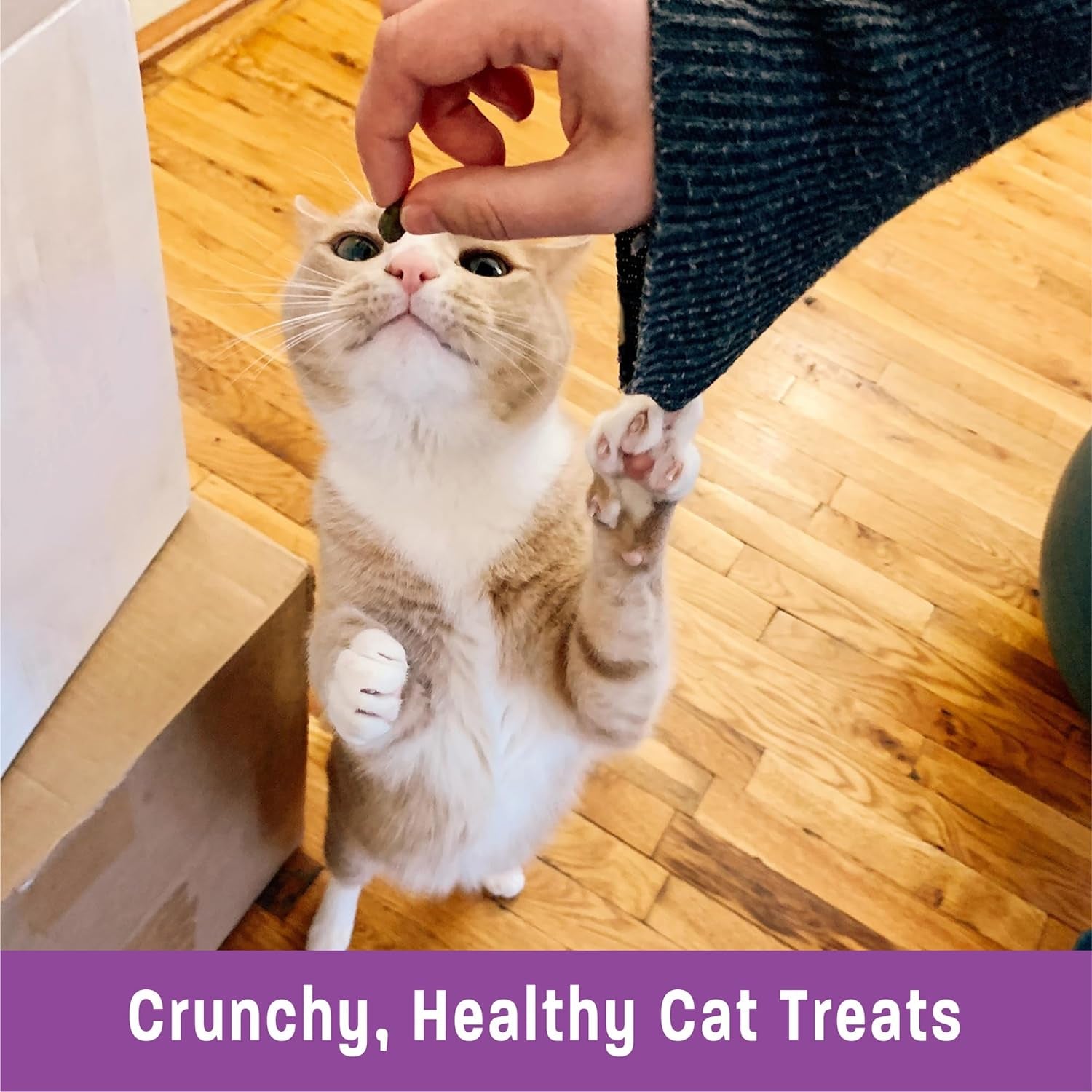 Crunchy Natural Grain-Free Cat Treats