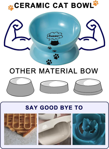 Ceramic Raised Bowl